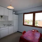 Agreable F2 Avec Terrasse, Parking Prive, Animaux Admis, Proche - Fr-1-432-1 *